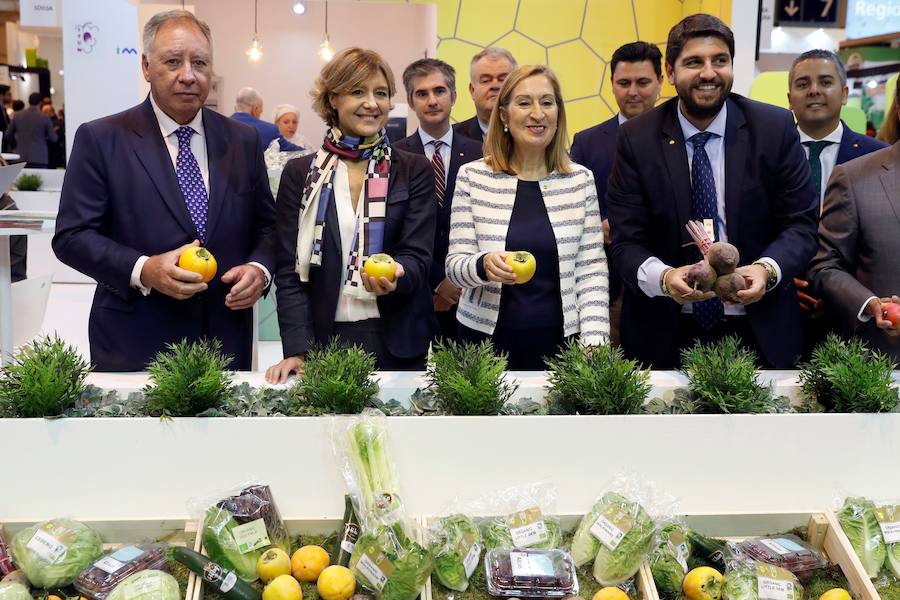 El presidente del Comité Ejecutivo de Ifema, Clemente González, Isabel García Tejerina, ministra de Agricultura; Ana Pastor, presidenta del Congreso de los Diputados; y Fernando López Miras, presidente de la Comunidad, este miécoles, en el expositor de la Región de Murcia en Fruit Attraction.