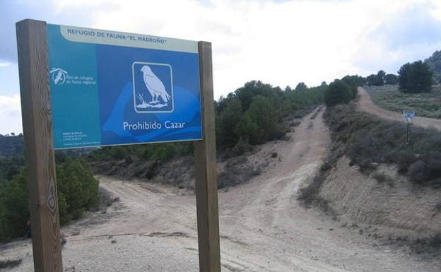 Cruce de caminos en el Collado del Madroño.