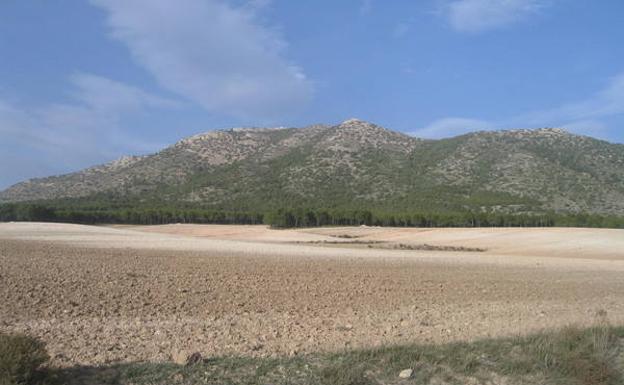 El cerro del Gabar, una isla vegetal dentro del parque natural de Sierra María-Los Vélez.