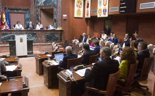 La Asamblea aprueba la nueva ley que regula la tenencia y el transporte de los animales domésticos