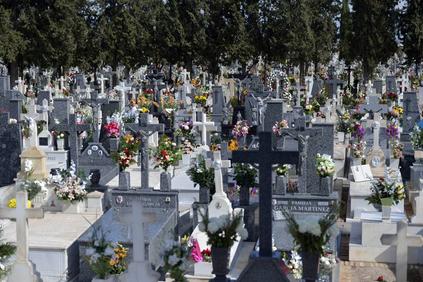 Los familiares visitan las tumbas de sus seres queridos y las visten de flores. 