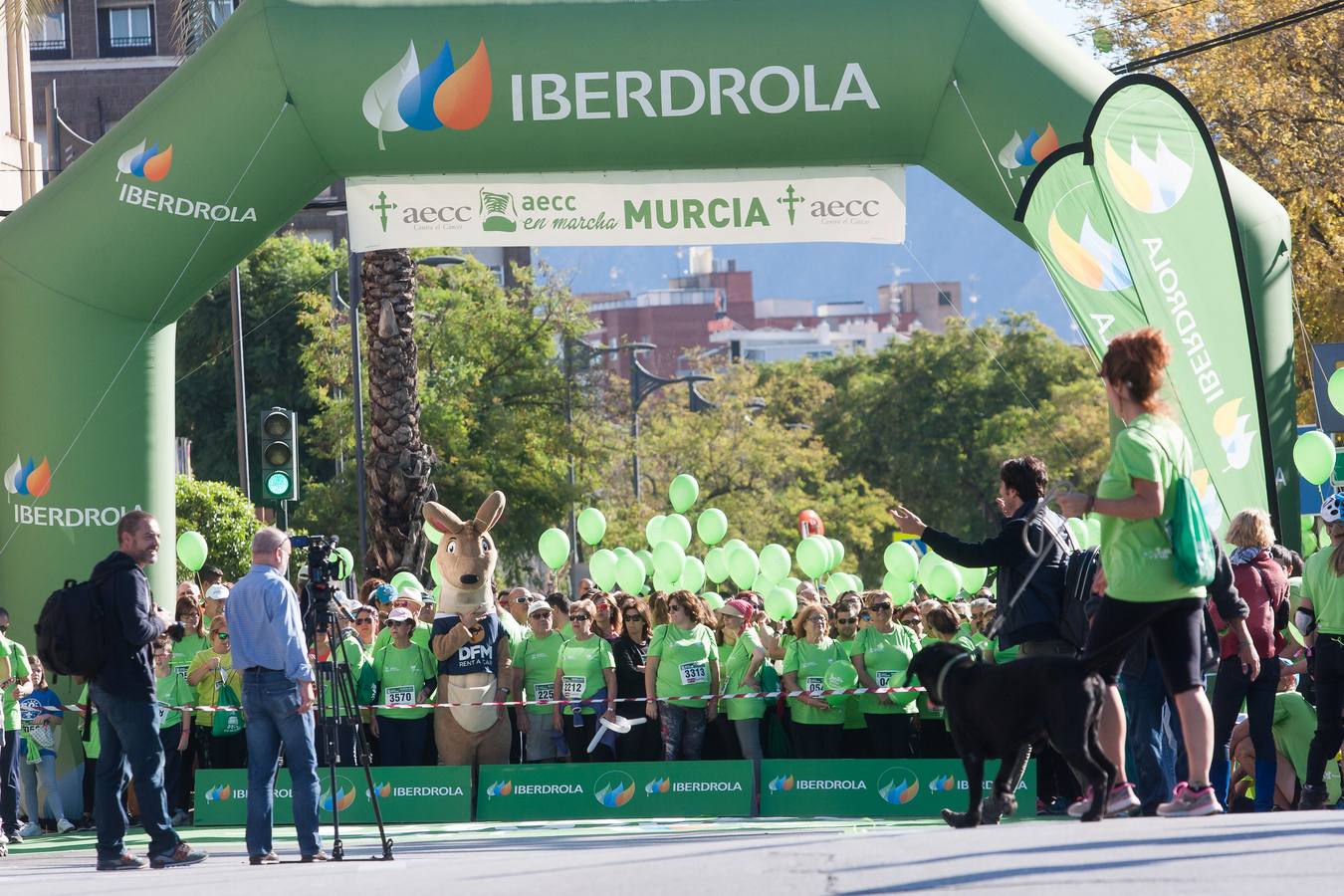 Una marea verde recorre el centro de Murcia para luchar contra el cáncer