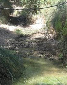 Imagen secundaria 2 - El pico de la cara norte del Talayón asoma sobre las lomas más bajas, una casa abandonada en la sierra y un revolcadero de jabalíes.