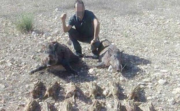 Uno hombre posando junto a los jabalíes cazados.