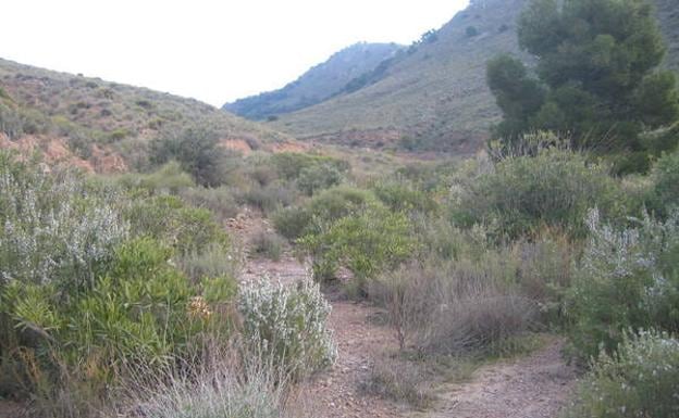 Imagen principal - Rambla de Chuecos, castillo de Chuecos y el cortijo, protegido por la fortificación de origen árabe.