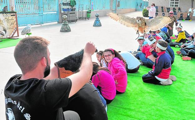 El taller de cetrería causó expectación entre los escolares. 