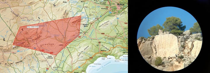 El ave de presa abatida por un cazador en el Barranco de la Hoz busca nuevos territorios tras ser rehabilitada en el Centro de Recuperación de Fauna Silvestre de El Valle