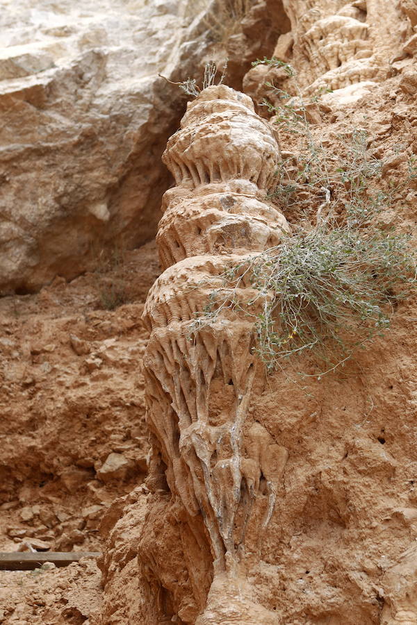 El yacimiento de la Sierra de Quibas (Abanilla) desvela los secretos del ecosistema en el que vivieron los primeros humanos en Europa Occidental