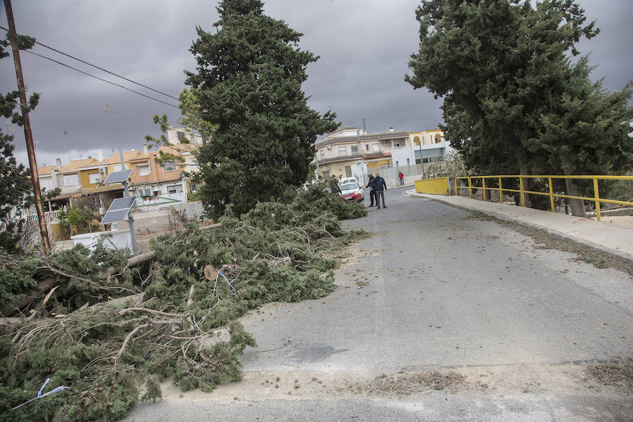 Cartagena se lleva la peor parte del episodio por fuertes rachas de aire con numerosas incidencias