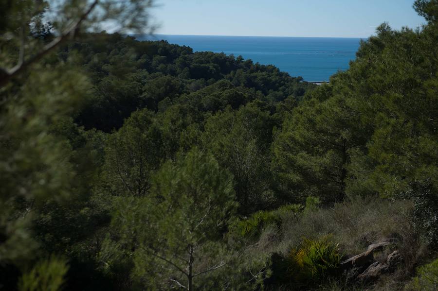 Un recorrido por el languideciente imperio minero tras la huella de su pasado romano, su arquitectura civil e industrial, y respirar su naturaleza