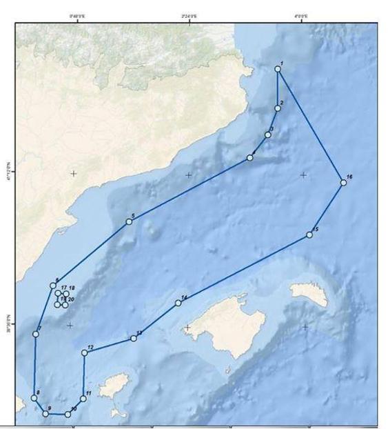 Corredor de migración de cetáceos en las costas españolas.