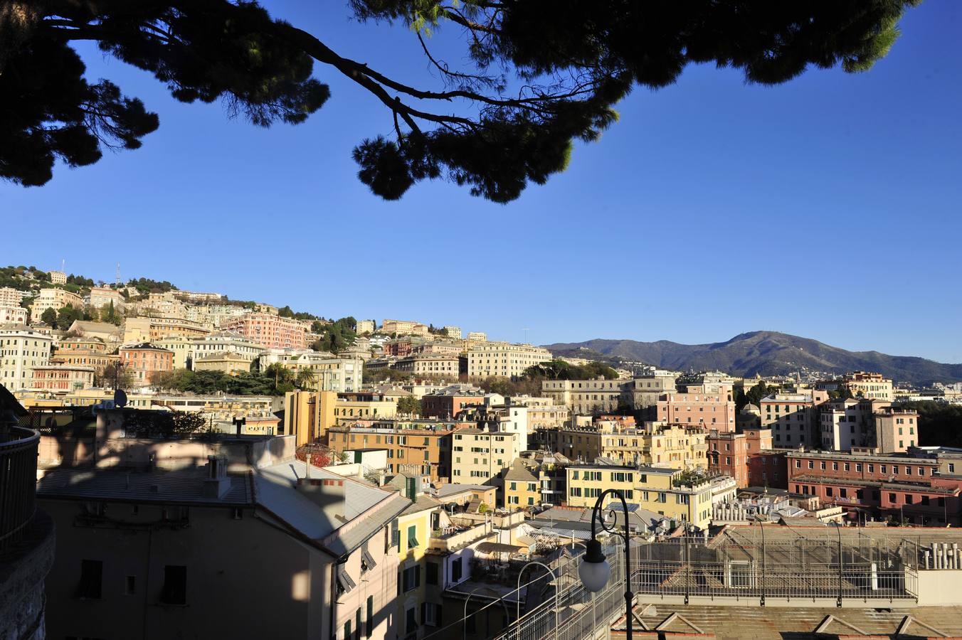 La capital de Liguria muestra al mundo su poderío cultural lanzando una nueva Ruta de la Seda que incluye a la capital del Segura, donde los italianos gozaron de enormes privilegios