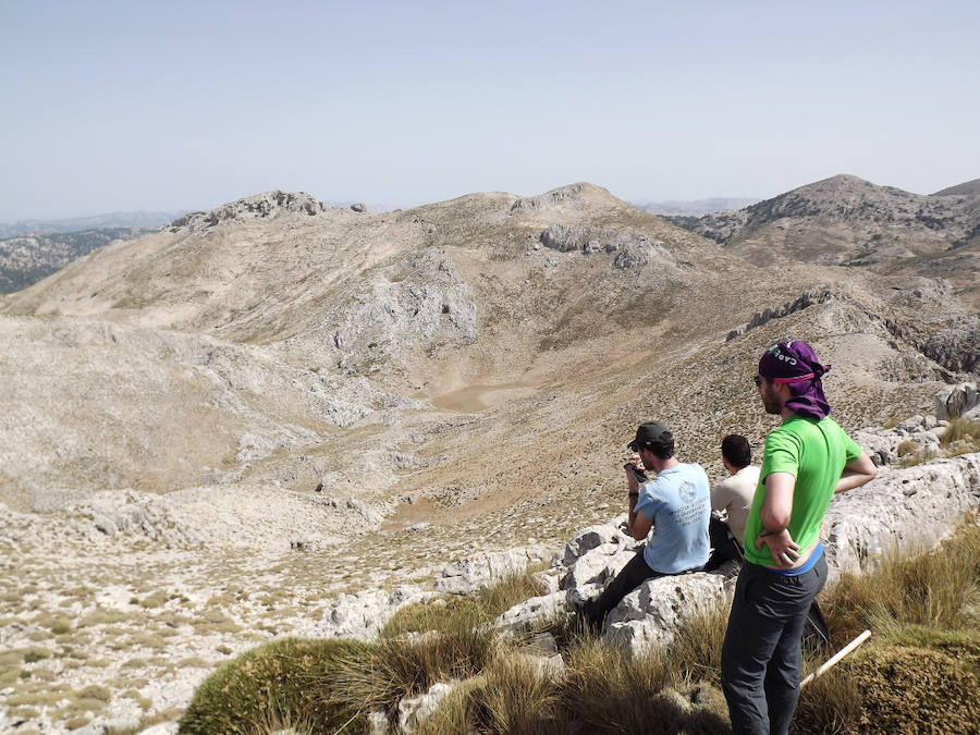 El plan científico de la Universidad de Murcia rastrea los polos más fríos de la cuenca del Segura, desde Cazorla a la pedanía lorquina de Purias