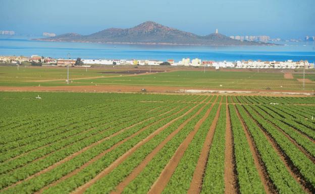 Terrenos de cultivo entre Los Nietos y Los Urrutias junto al Mar Menor.
