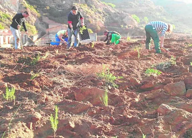 Expertos de la UPCT en recuperación de suelos contaminados, en la Sierra Minera de Cartagena-La Unión en una foto de archivo.
