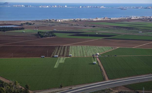 Cultivos cercanos al Mar Menor. 