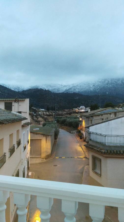 En Bullas y en Mula, la nevada también dejó los campos teñidos de blanco. 