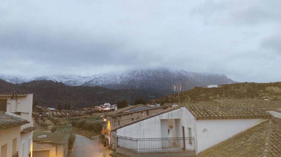 En Bullas y en Mula, la nevada también dejó los campos teñidos de blanco. 