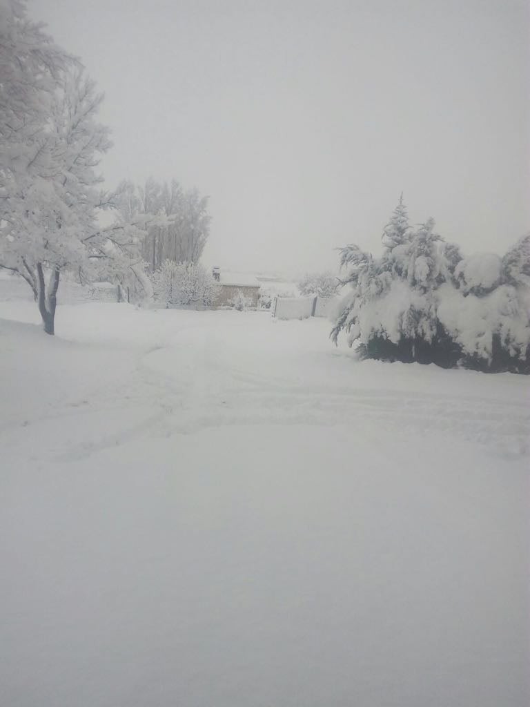 La nieve dejó una blanca estampa en Campo de San Juan (Moratalla). 