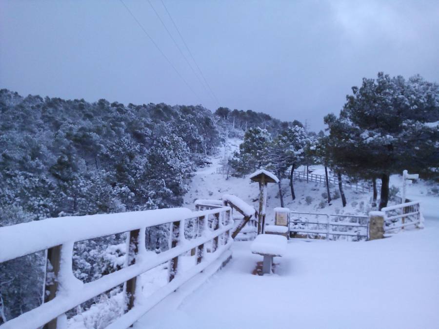 Collado Bermejo, en Sierra Espuña, acumuló más de 20 centímetros de nieve.