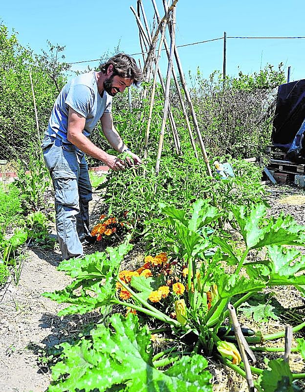 Un vecino de La Arboleja cuida su huerto.