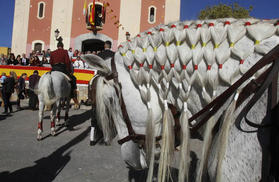 Perros, conejos, caballos y periquitos, entre otros, reciben la bendición por el día de San Antón en Cartagena. 