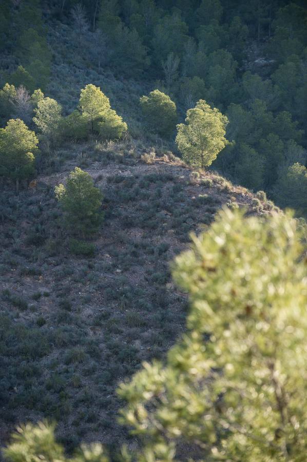 Una visita guiada a la increíble ciudad argárica de Totana para conocer a los ancestros a fondo