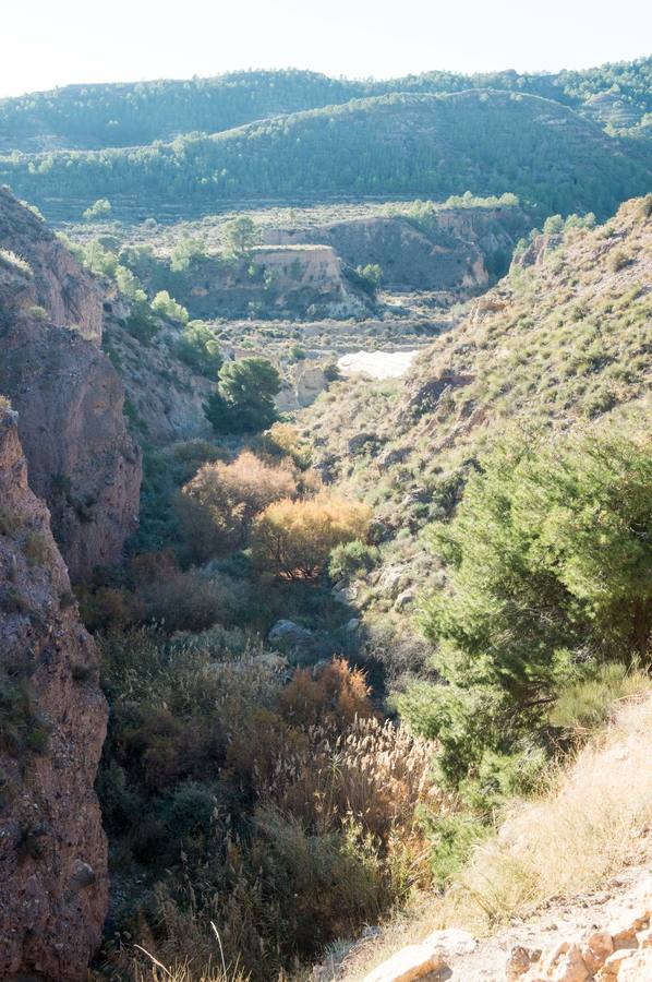 Una visita guiada a la increíble ciudad argárica de Totana para conocer a los ancestros a fondo