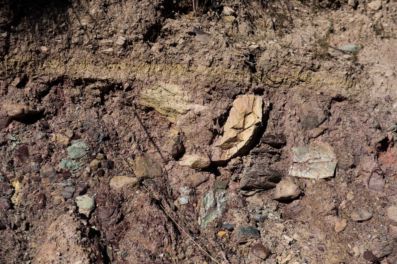 Una visita guiada a la increíble ciudad argárica de Totana para conocer a los ancestros a fondo