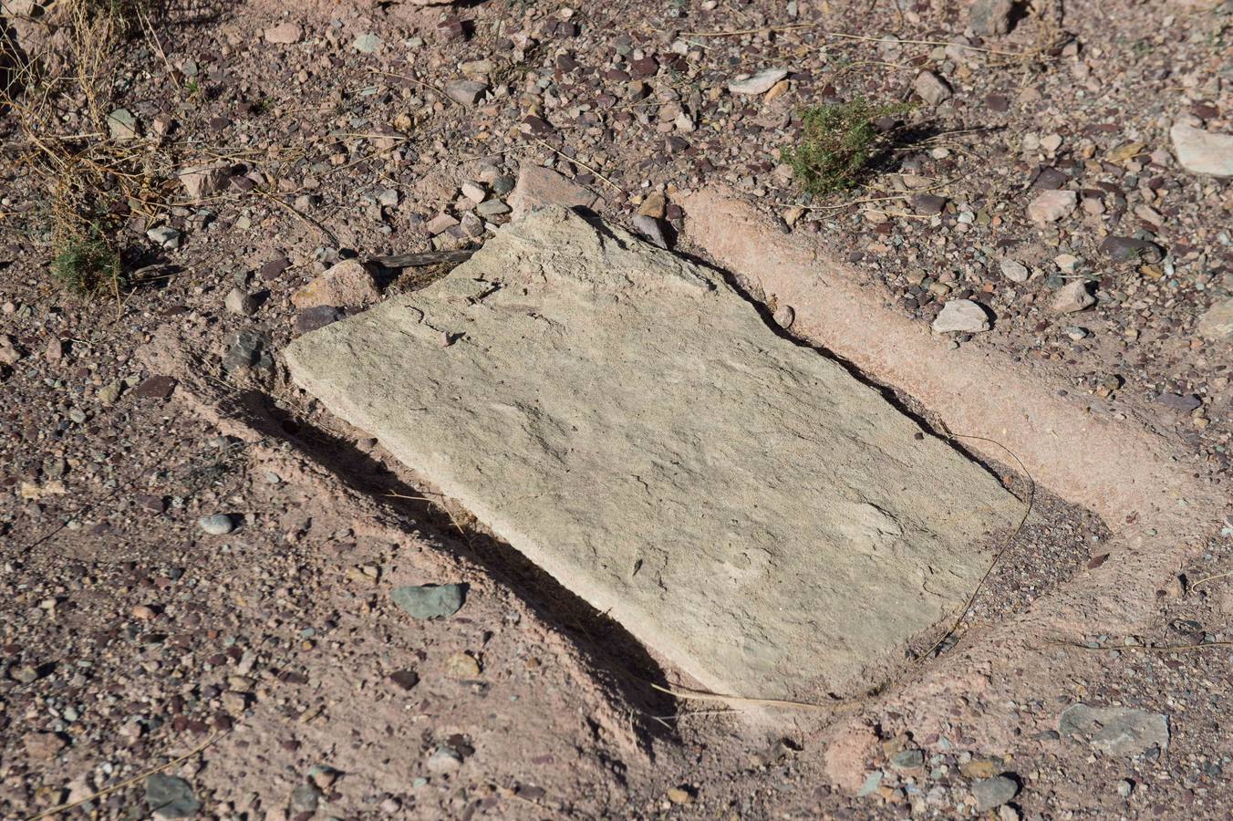 Una visita guiada a la increíble ciudad argárica de Totana para conocer a los ancestros a fondo