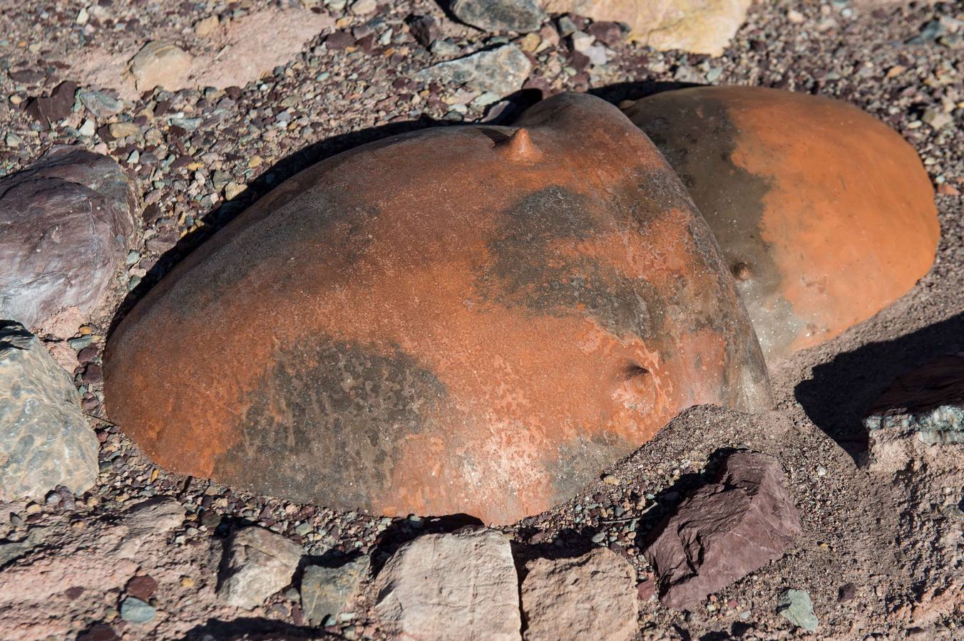 Una visita guiada a la increíble ciudad argárica de Totana para conocer a los ancestros a fondo