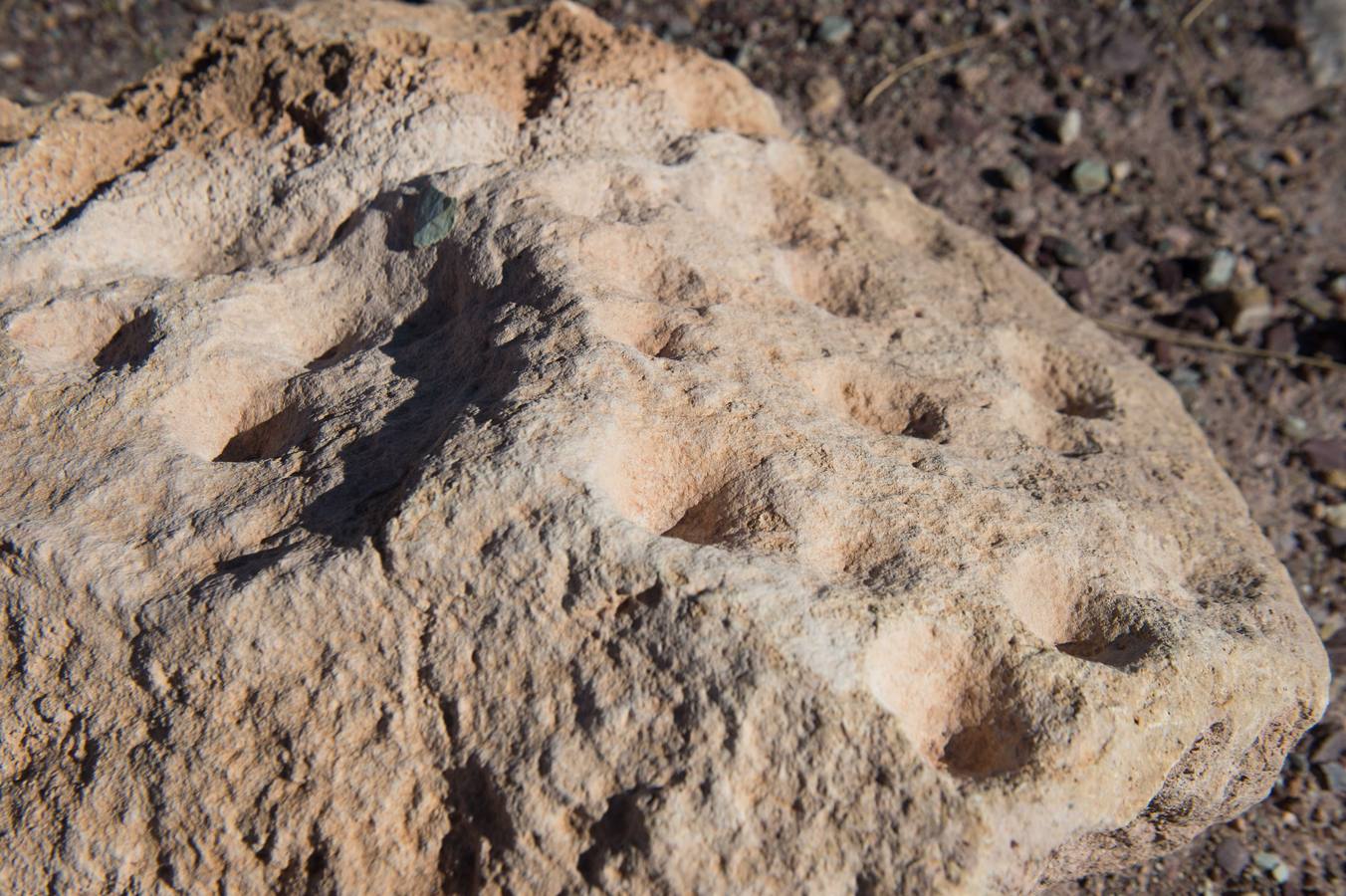 Una visita guiada a la increíble ciudad argárica de Totana para conocer a los ancestros a fondo