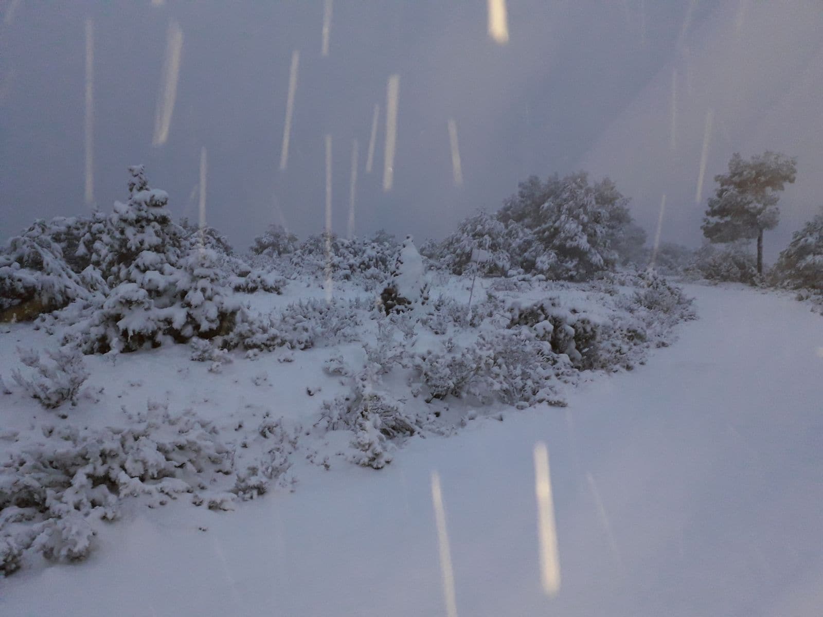 Nieve en la Sierra del Cerezo, entre las Murtas y Moratalla.