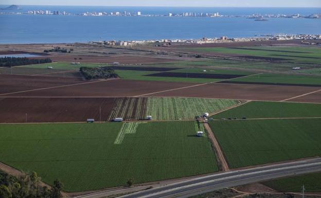 Explotaciones agrarias junto al Mar Menor. 