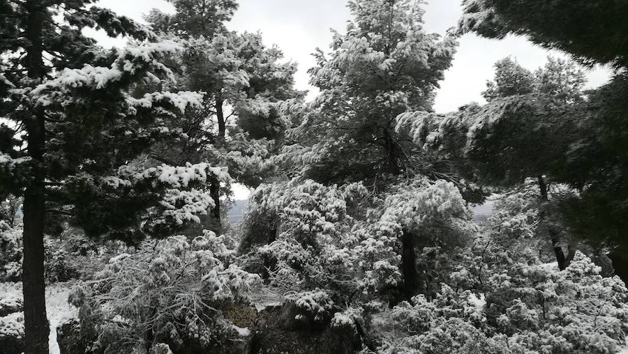 La cota de nieve se sitúa para este viernes en torno a 600 y 800 metros de altitud.