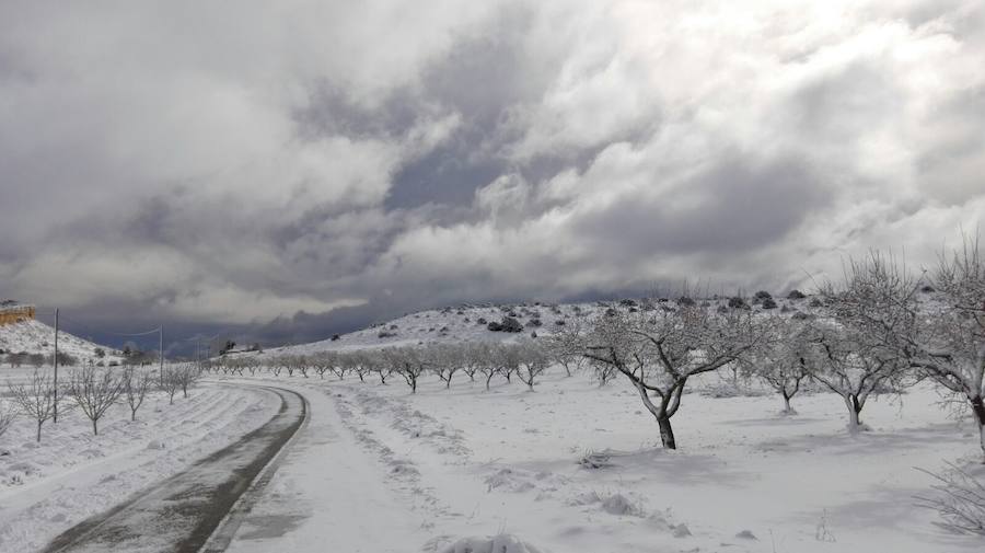 La cota de nieve se sitúa para este viernes en torno a 600 y 800 metros de altitud.