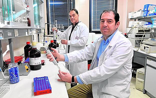 Emilio Fernández (en primer plano) y Carlos Cárceles, investigadores de la UMU.