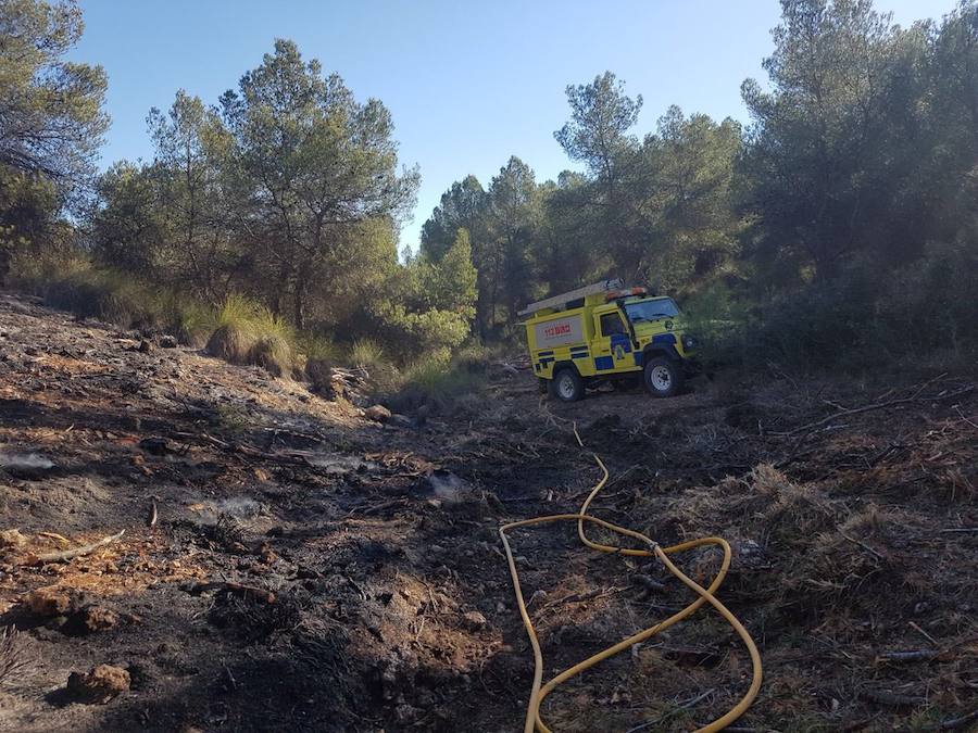 El área afectada es de aproximadamente media hectárea de esparto y pinos en el paraje Los Alagüeces