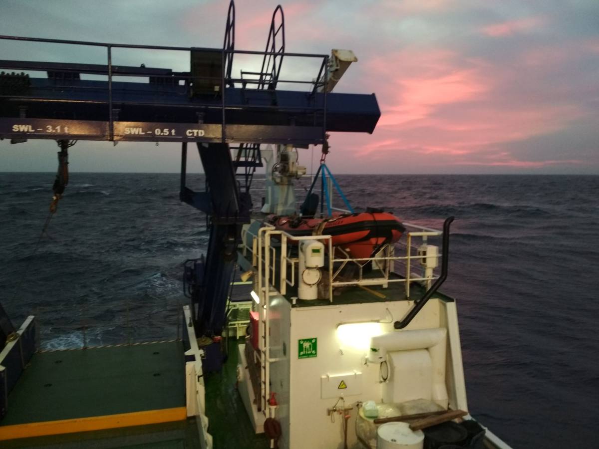 Científicos del IEO y la Universidad de Alicante cartografían por primera vez los cañones submarinos de Cabo Tiñoso y el Gorguel