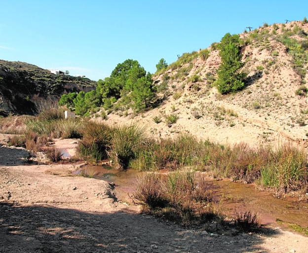 Río Chícamo.
