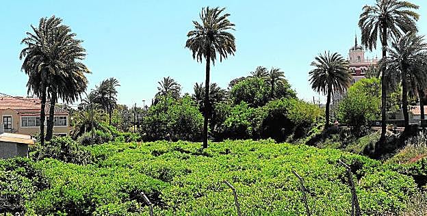 La Huerta mueve su savia