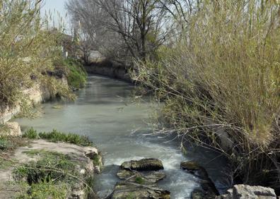 Imagen secundaria 1 - La Huerta mueve su savia