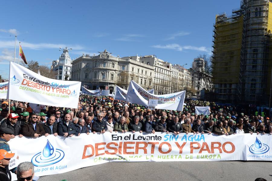 Miembros de la organización aseguran que la asistencia a la histórica marcha ronda las 50.000 personas.