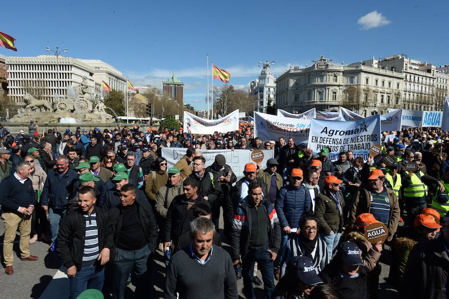 Miembros de la organización aseguran que la asistencia a la histórica marcha ronda las 50.000 personas.