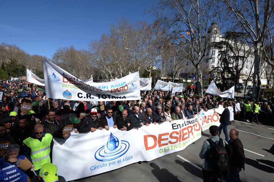 Miembros de la organización aseguran que la asistencia a la histórica marcha ronda las 50.000 personas.