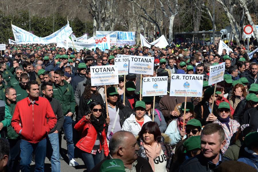 Miembros de la organización aseguran que la asistencia a la histórica marcha ronda las 50.000 personas.