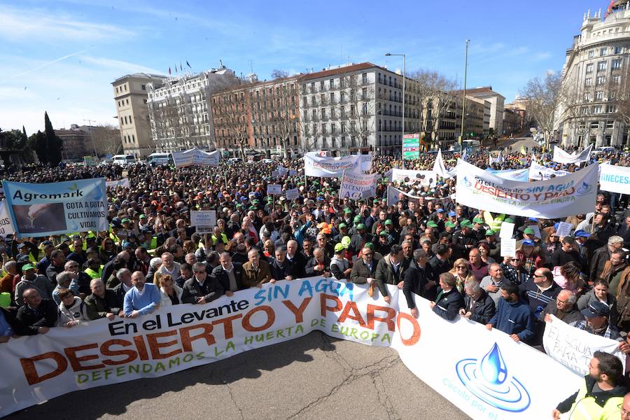 Miembros de la organización aseguran que la asistencia a la histórica marcha ronda las 50.000 personas.