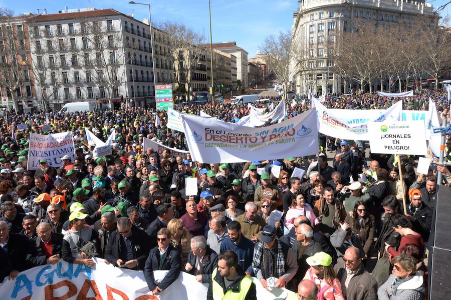 Miembros de la organización aseguran que la asistencia a la histórica marcha ronda las 50.000 personas.