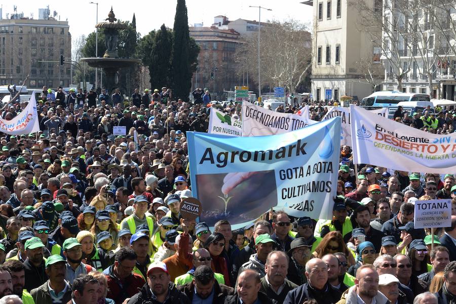 Miembros de la organización aseguran que la asistencia a la histórica marcha ronda las 50.000 personas.