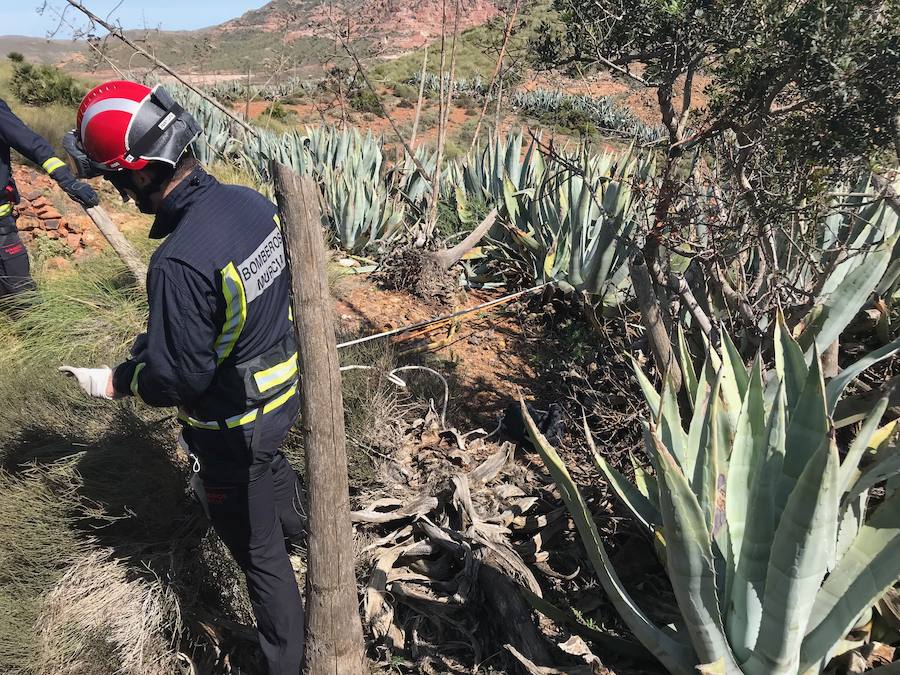 Efectivos voluntarios del cuerpo de bomberos de Murcia se han desplazado hasta la provincia de Almería para tratar de encontrar al pequeño